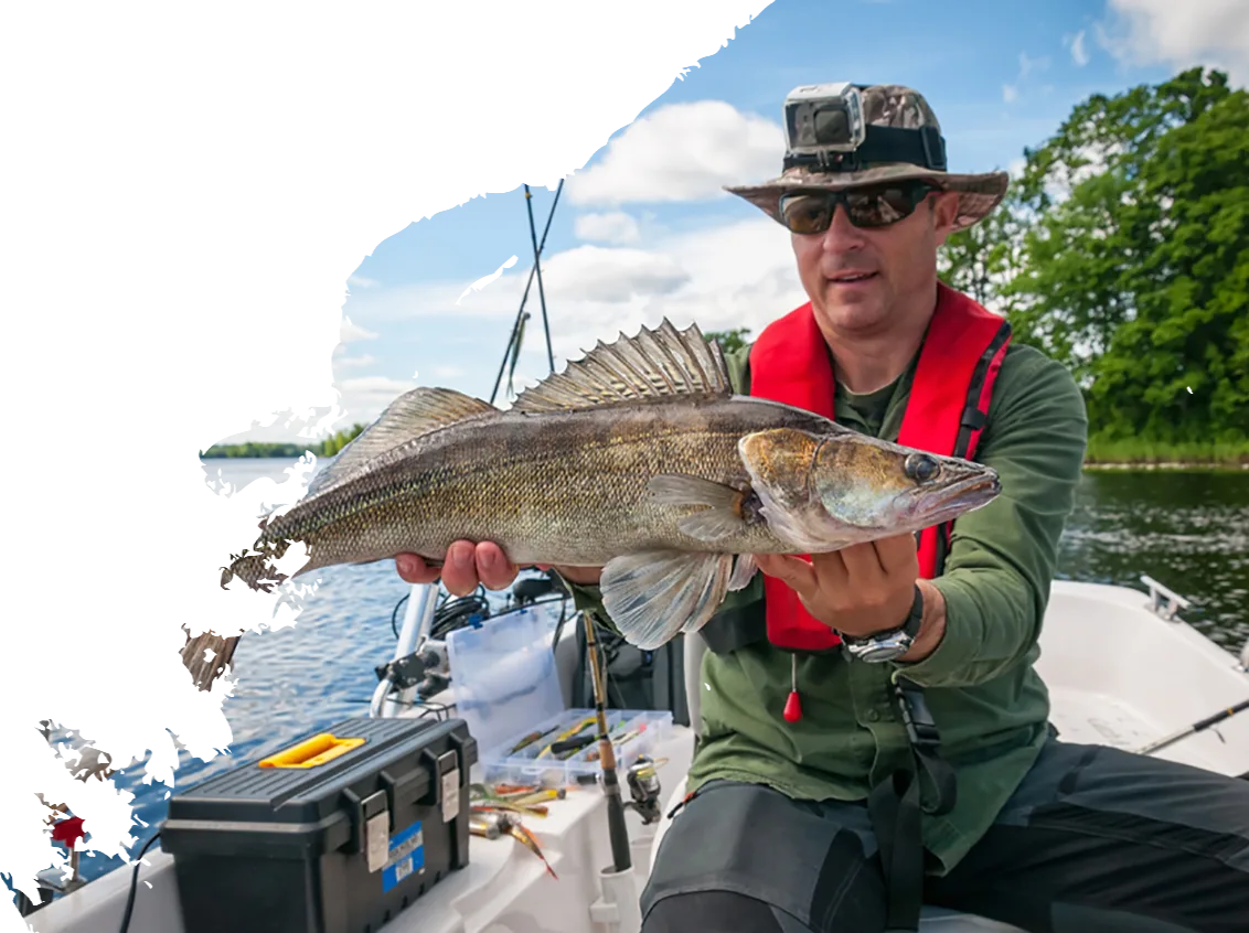 Modern Design Gears Fishing Rods - PG模拟器